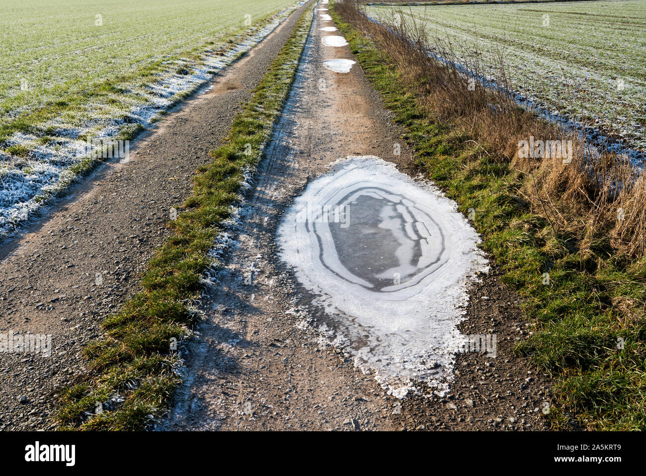 Gefrorene Pfützen Stockfoto