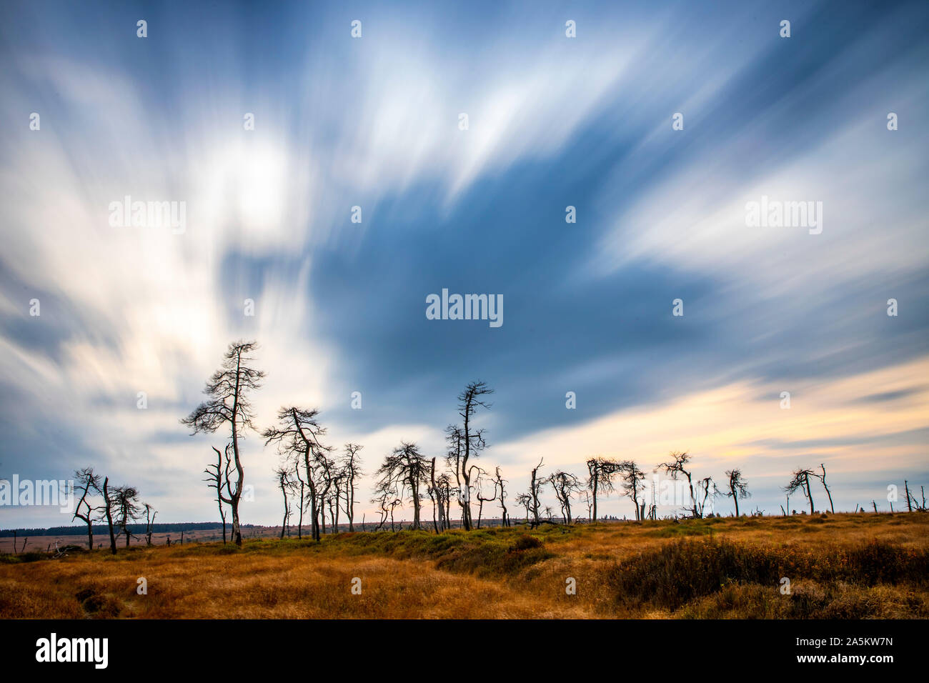 Belgien Wallonien Das Hohe Venn Hochmoor In Der Eifel Und Ardennen 