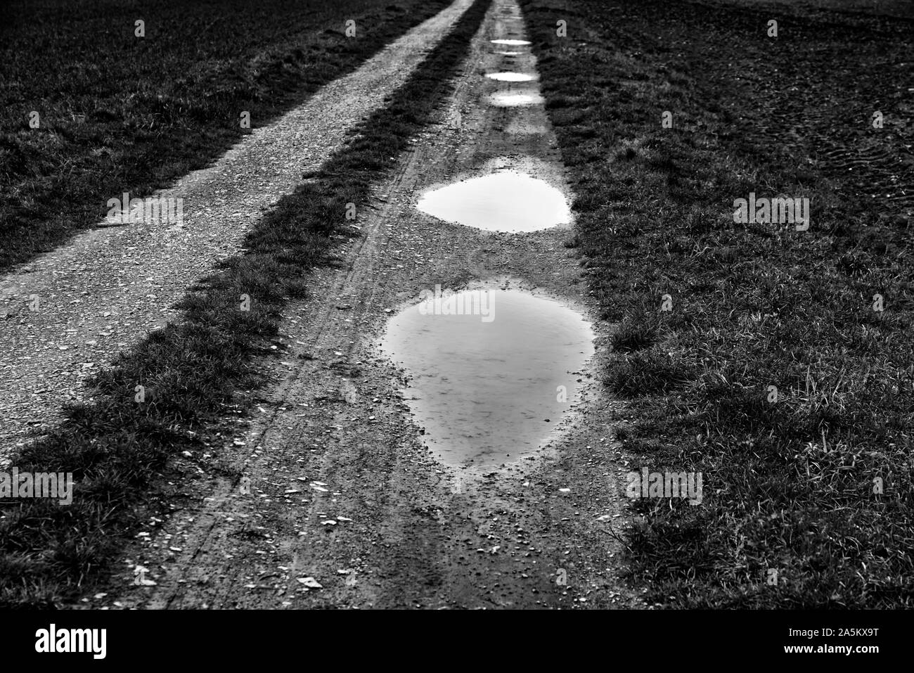 Einen Pfad mit Pfützen, obere Wesertal, Weserbergland, Nordrhein-Westfalen, Hessen, Deutschland Stockfoto