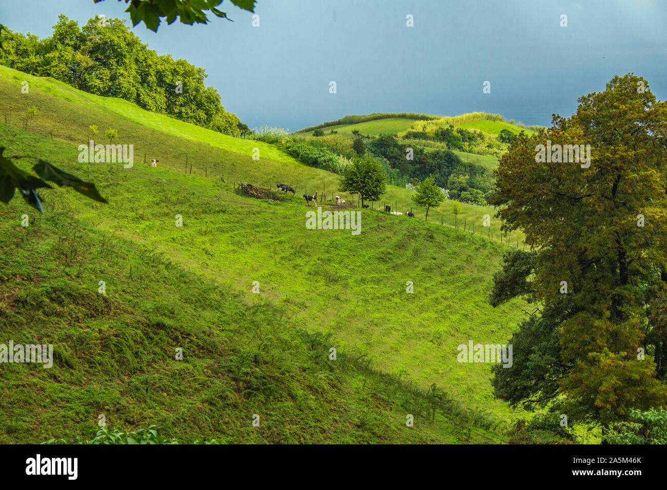 Schöne Felder und die Landschaft auf der Insel Sao Miguel, Azoren, Portugal Stockfoto