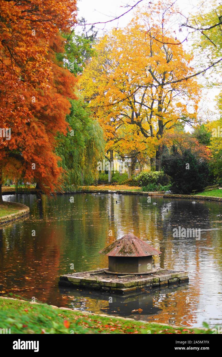 Schöne Szene im Herbst in der Natur mit Fallen und farbenfrohe Bäume Stockfoto