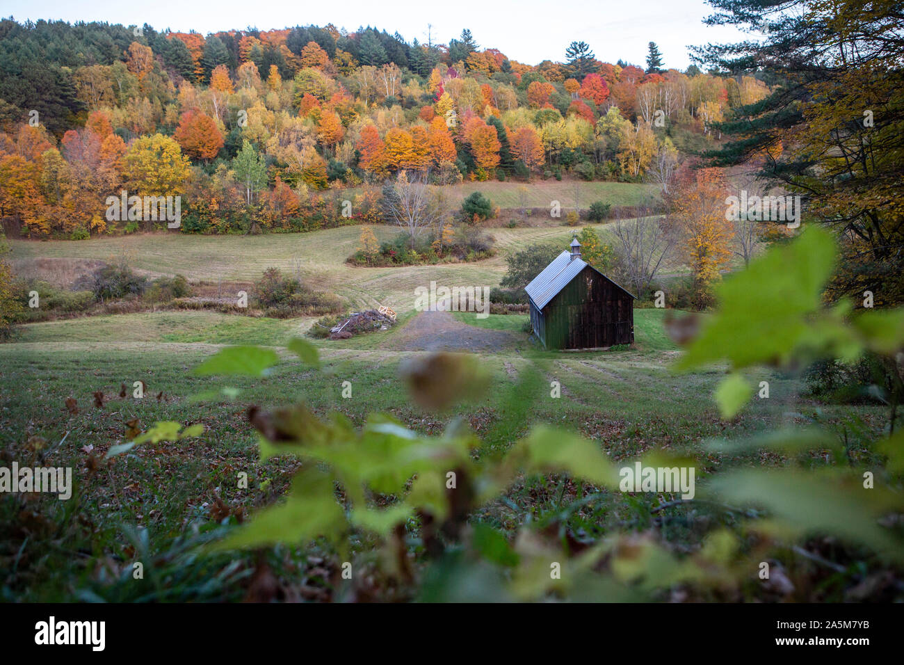 Herbst Landschaft und Laub an der Vermont berühmten Sleepy Hollow Farm. Stockfoto