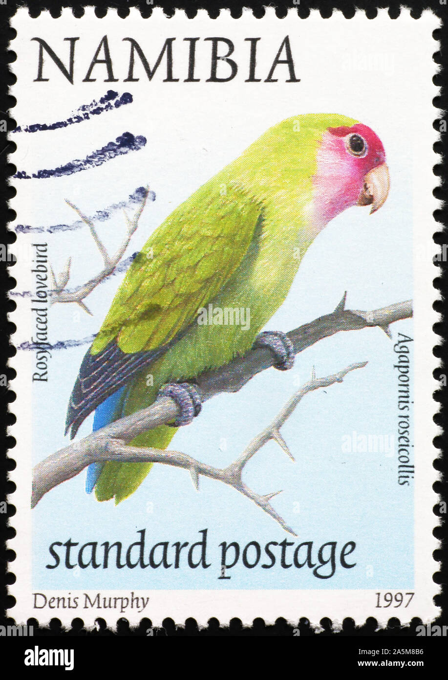 Rosyfaced lovebird auf namibischen Briefmarke Stockfoto