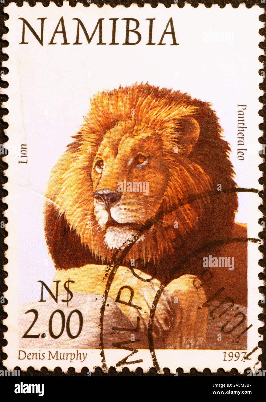 Leiter der Löwe auf namibischen Briefmarke Stockfoto