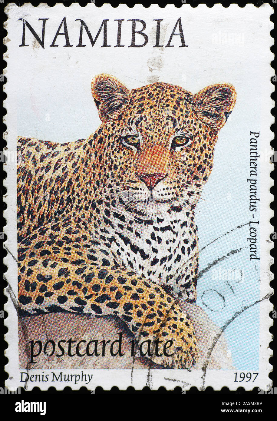Portrait von Leopard auf Briefmarke von Namibia Stockfoto