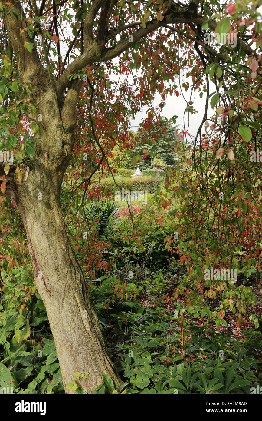 Englischen Landschaftsgarten gesehen durch einen Baum im Herbst Farben Stockfoto