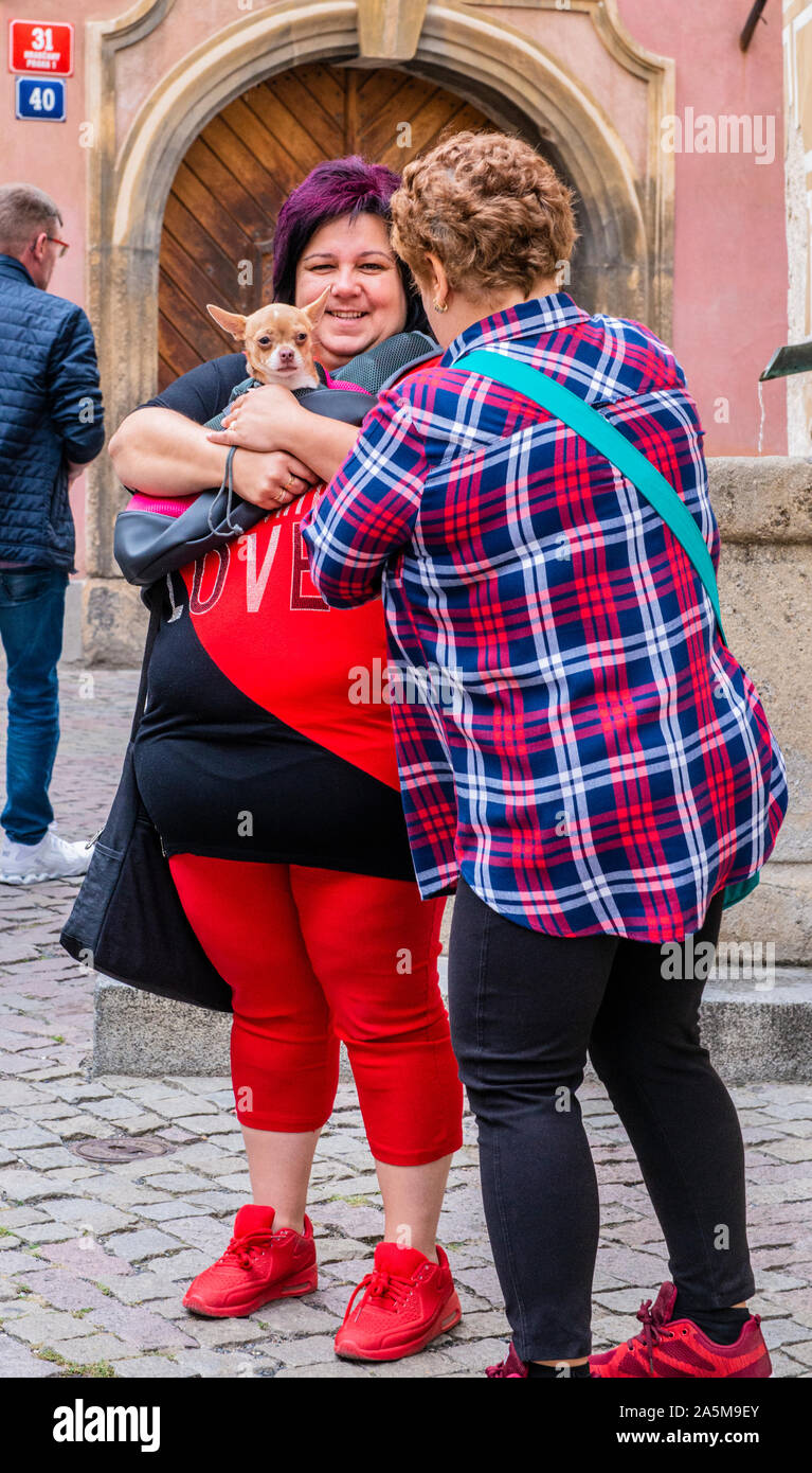 Frau mit Hund im Gespräch mit Freund, touristische im Hintergrund, Prag, Tschechische Republik Stockfoto