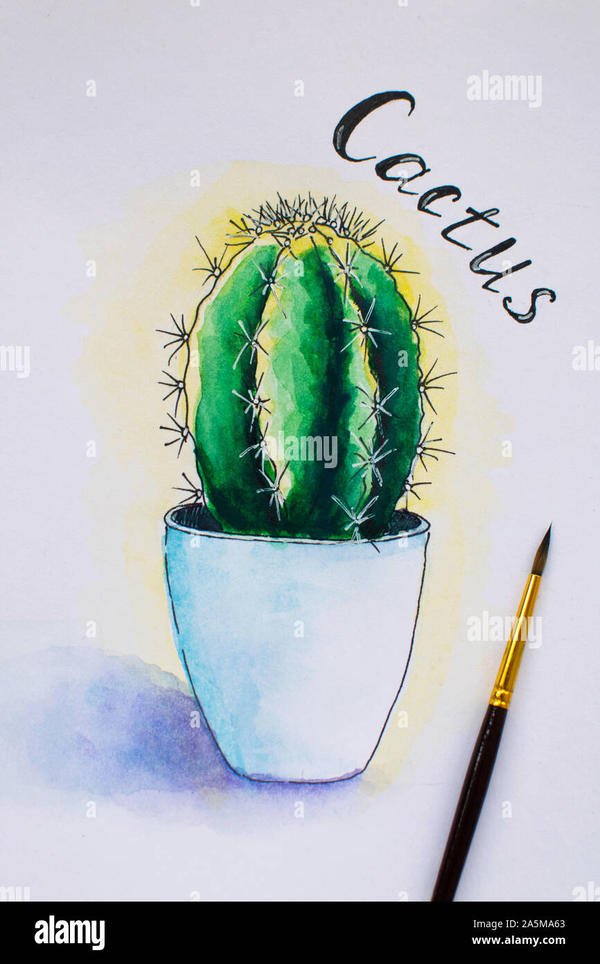 Aquarell handbemalt saftige im Topf. Hand gezeichnet Kaktus. Aquarell  Skizze, Illustration Stockfotografie - Alamy