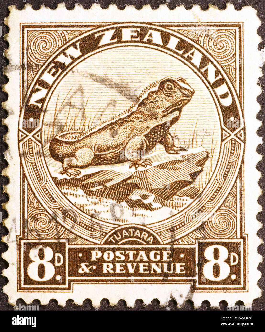Lizard Tuatara auf Neuseeland Briefmarke von 1936 Stockfoto