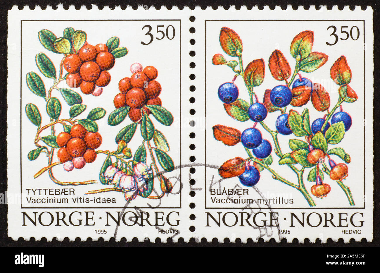 Zwei norwegischen Briefmarken übersicht Pflanzen mit Beeren Stockfoto