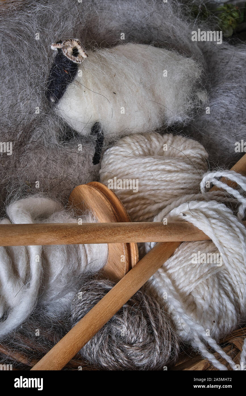 Natürliche Schafe Wolle und Stricknadeln Stockfoto