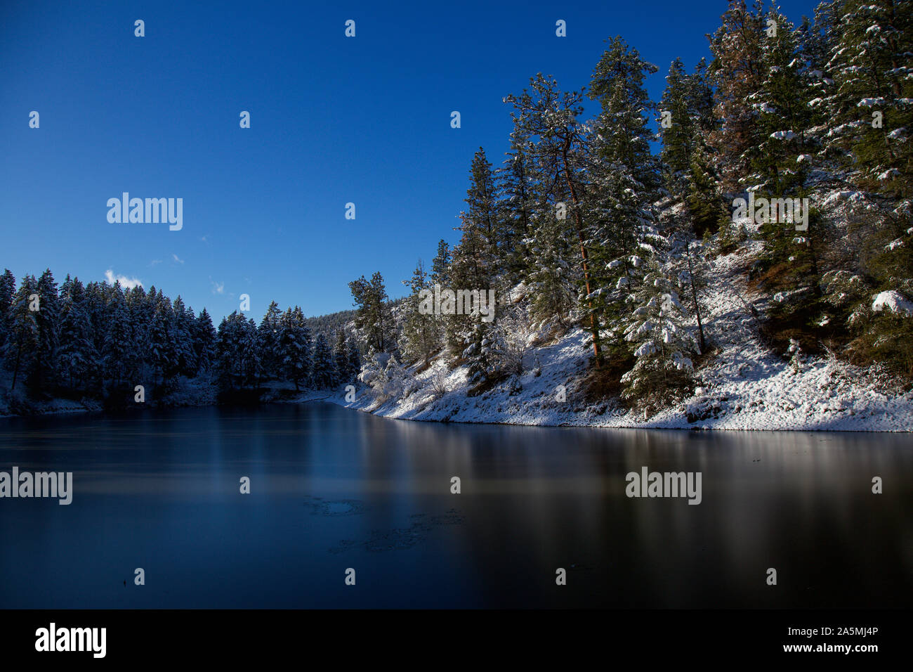 Schnee bedeckt immergrünen Wald mit gefrorenen See auf einem kalten Wintertag Stockfoto