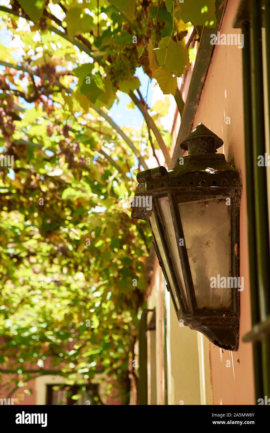 Alte lampe hängt im baum Fotos und Bildmaterial in hoher Auflösung