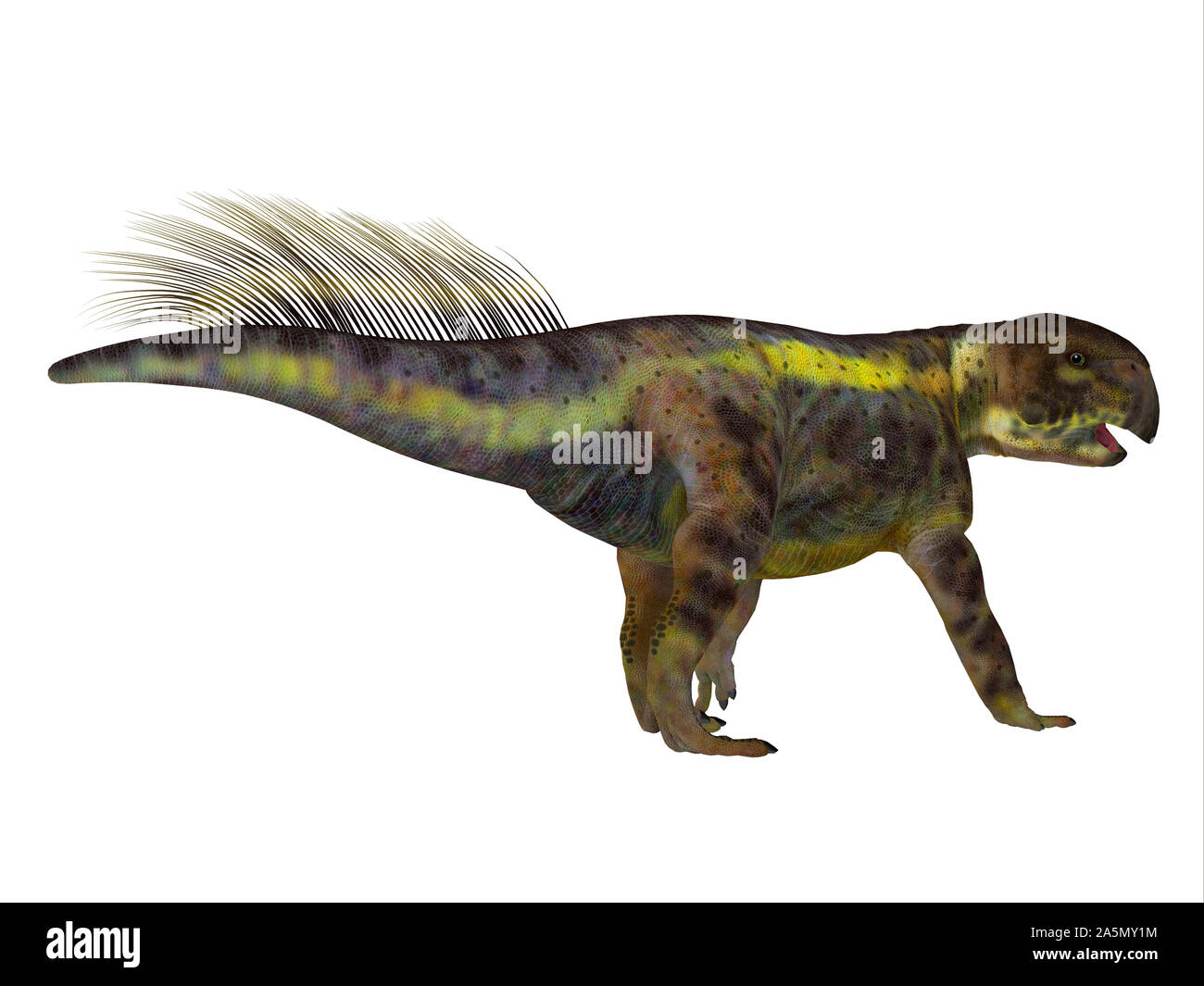 Psittacosaurus war ein Pflanzenfresser Ceratopsian Dinosaurier, die in Asien in der Kreidezeit lebten. Stockfoto