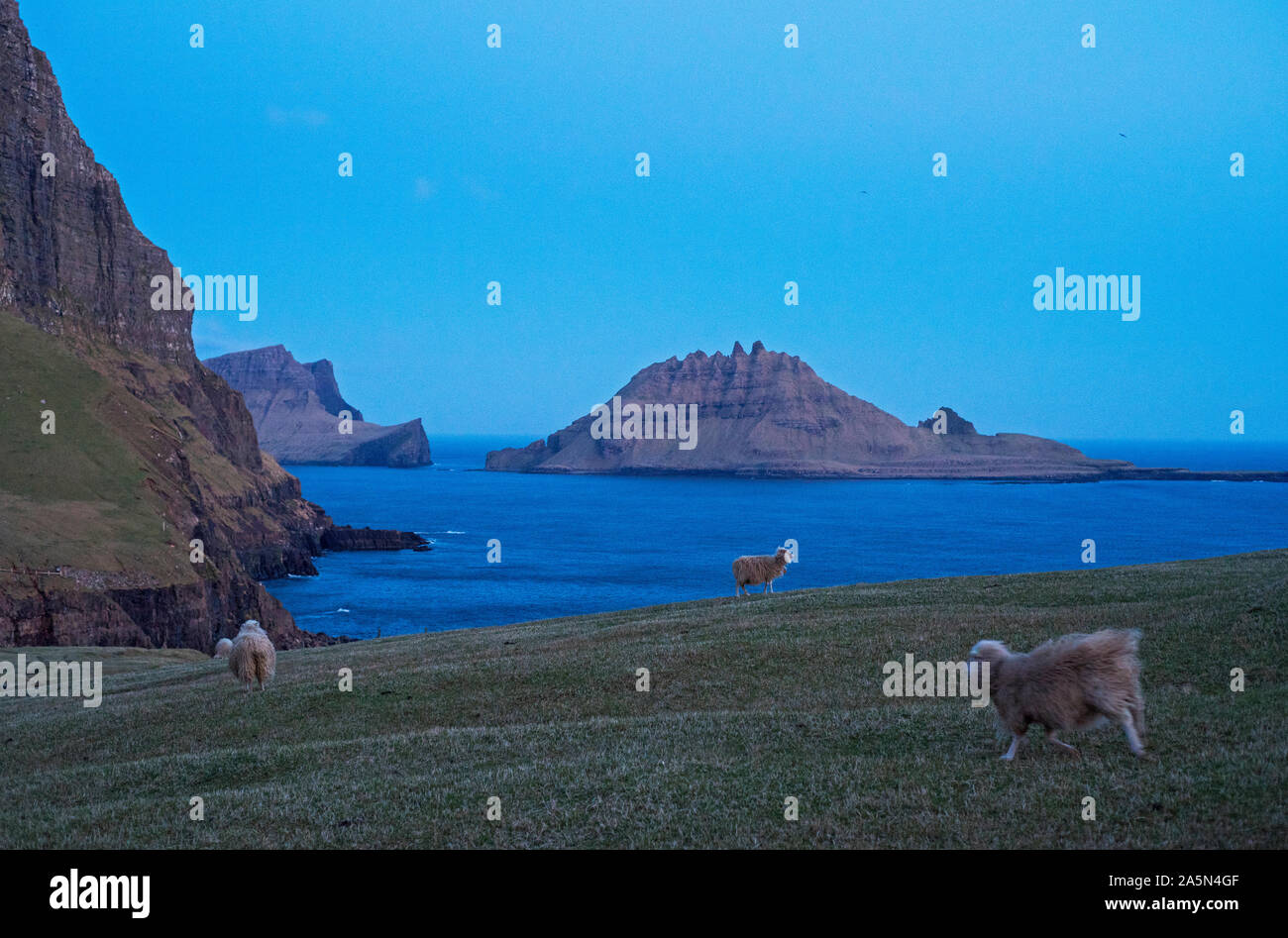 Färöer Inseln Stockfoto