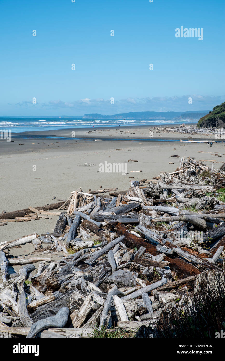 KALALOCH, WA. Malerischer Blick auf den Pazifischen Ozean und Drift Protokolle in der Olympic National Park auf kalaoch Strand. Stockfoto