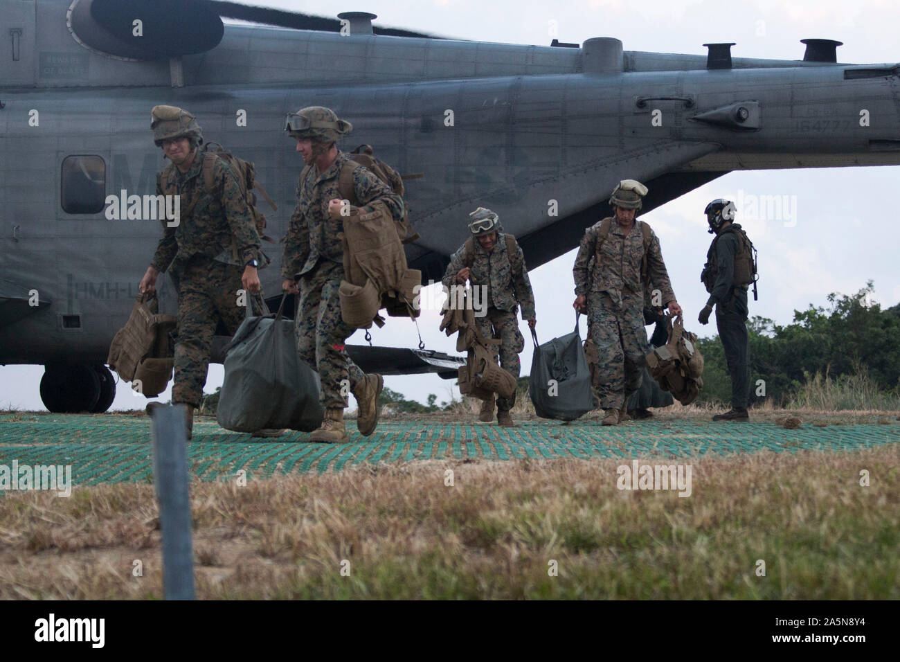 Marines mit Combat Logistik Bataillon 31, 31 Marine Expeditionary Unit, ein CH-53E Super Stallion Beenden während eines Hubschraubers Support Team Training, nördliche Bereich Schulungen, Okinawa, Japan, Okt. 11, 2019. Hubschrauber Support Teams schließen Sie externe Lasten zu Hubschrauber für den Transport in Bereichen, die nicht geeignet für Fahrzeuge, wodurch sie für Nachschub Missionen nützliche Kräfte auf der Erde zu manövrieren. Die 31. MEU, das Marine Corps' nur kontinuierlich vorwärts - bereitgestellt MEU, bietet eine flexible und tödlicher Gewalt bereit, eine breite Palette von militärischen Operationen als Premier Krisenreaktion fo durchführen Stockfoto