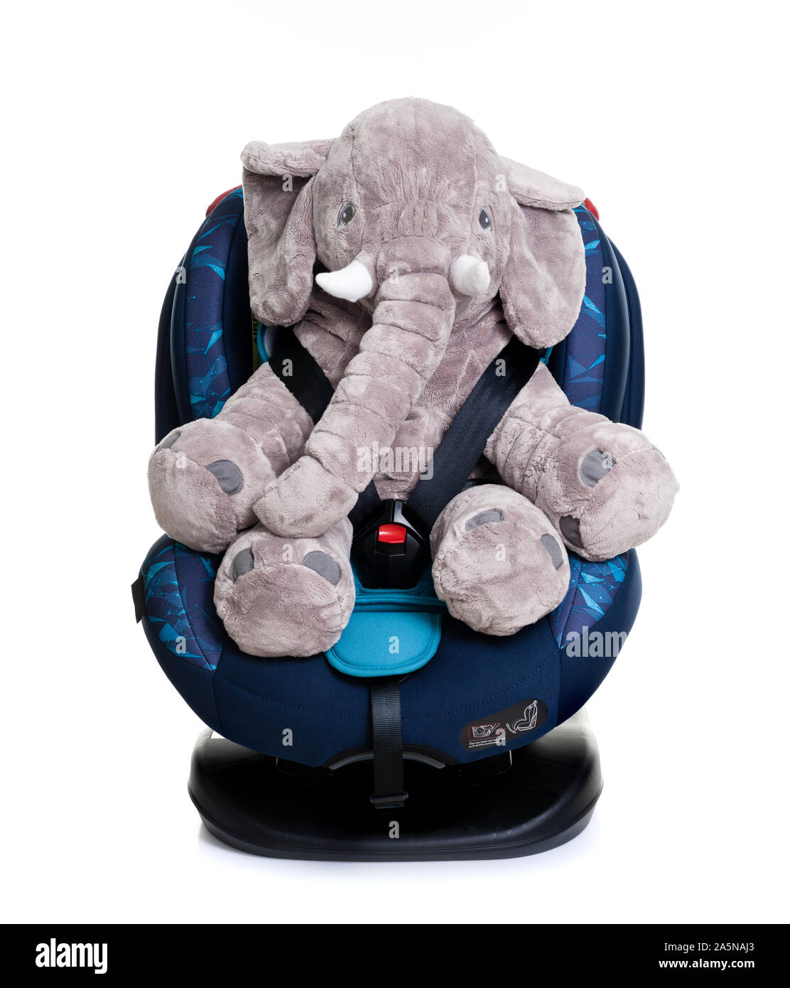 Süße Elefant Puppe in blau Kindersitz auf weißem Hintergrund, Sitz, die speziell für Kinder von Verletzungen oder Tod während der collisi zu schützen. Stockfoto