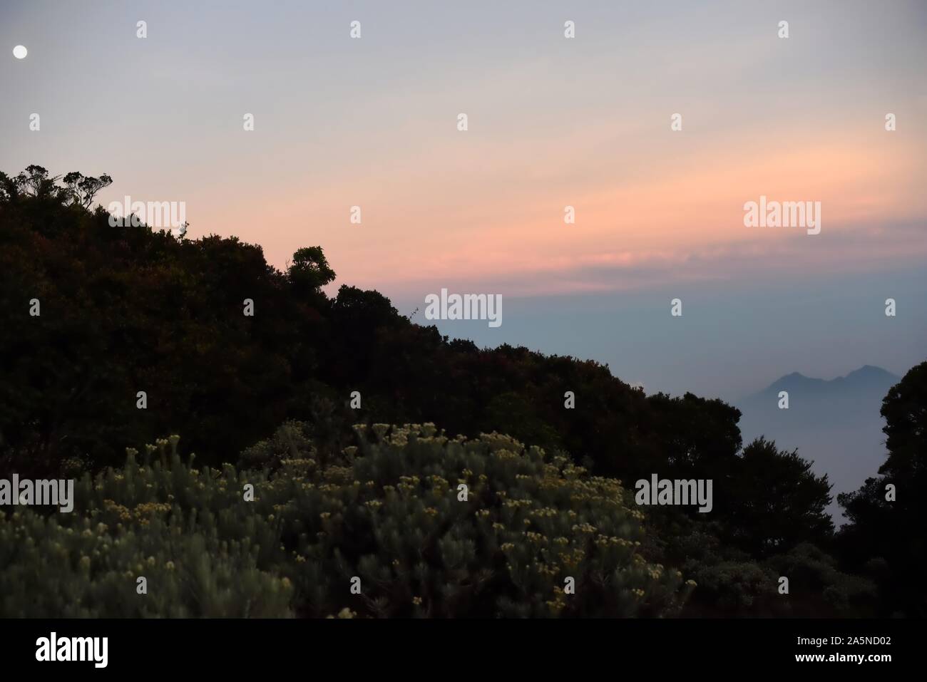 Mount Salak aus Mandalawangi Valley, Mount Pangrango, Gede Pangrango National Park, Indonesien gesehen. Stockfoto