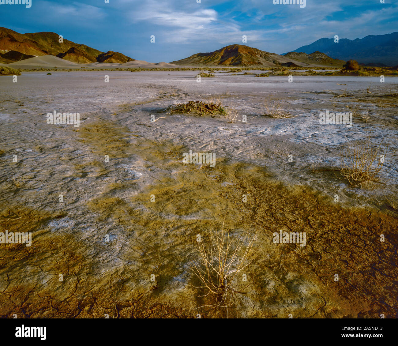 Trockene Amargosa River, Steinböcke Dünen, Death Valley National Park, Kalifornien Stockfoto