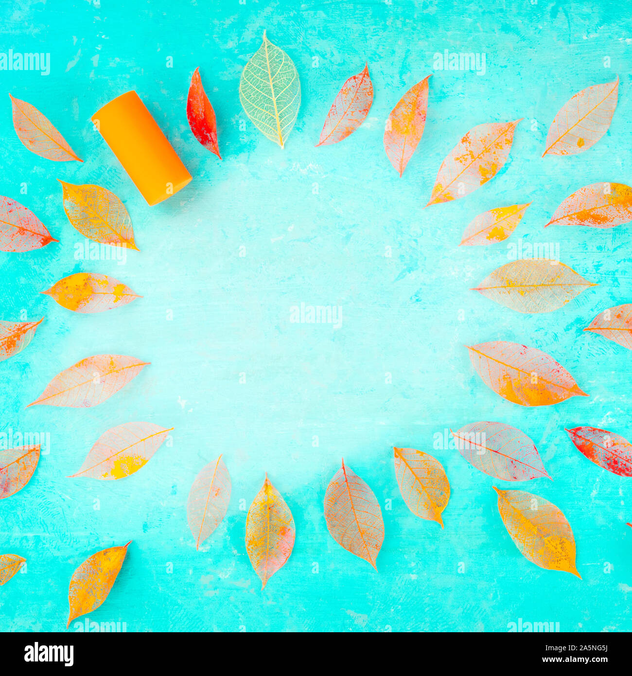 Herbst Wein Hintergrund mit Herbstlaub auf einem blauen Textur, ein Quadrat design Vorlage für eine Weinprobe Einladung oder ein Menü, mit Copyspace Stockfoto
