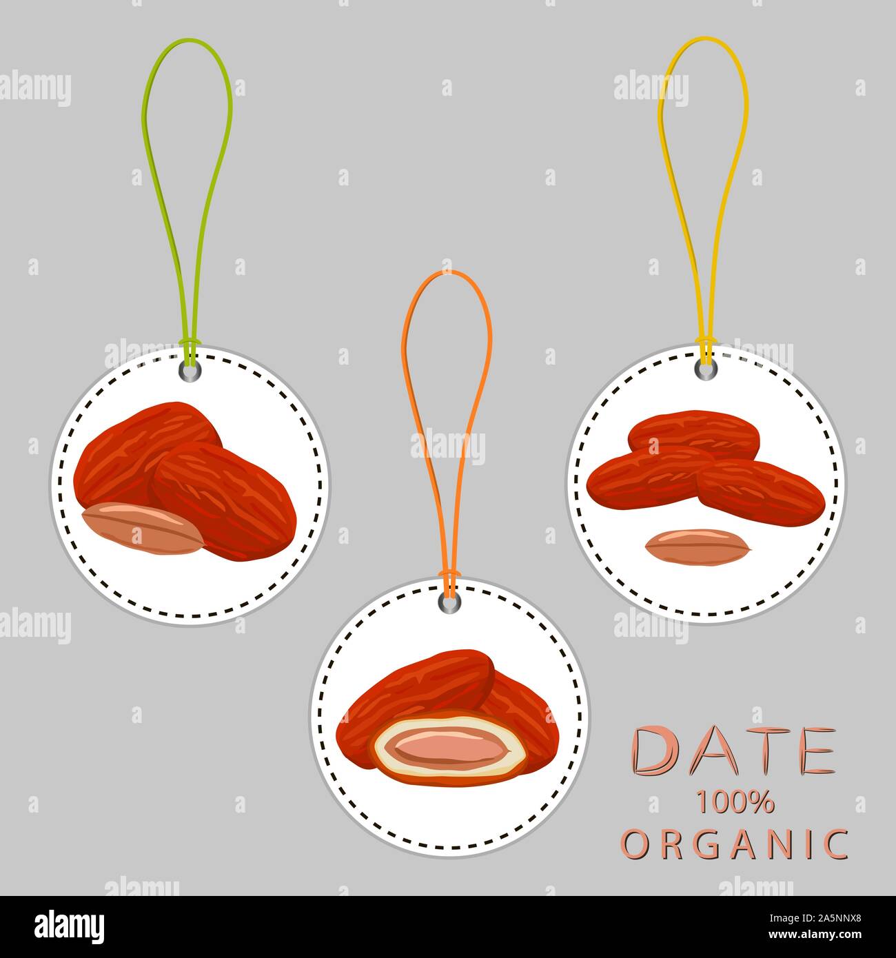 Abbildung auf Thema große farbige unterschiedliche Typen von Datum Obst für gesundes Leben. Datum Obst Muster bestehend aus Sammlung Zubehör bei Gesunden Stock Vektor