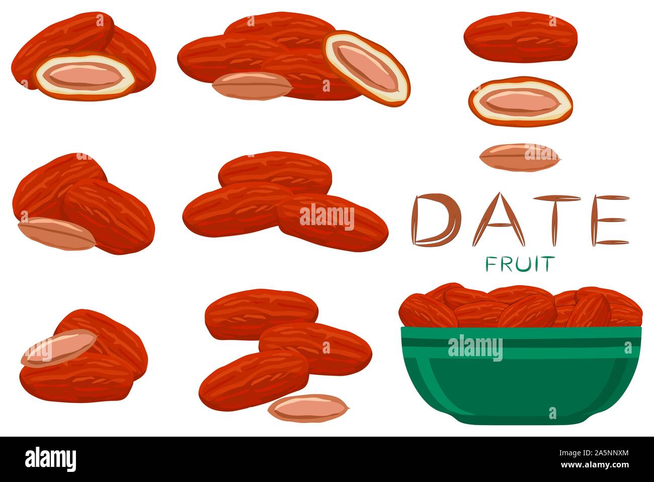 Abbildung auf Thema große farbige unterschiedliche Typen von Datum Obst für gesundes Leben. Datum Obst Muster bestehend aus Sammlung Zubehör bei Gesunden Stock Vektor