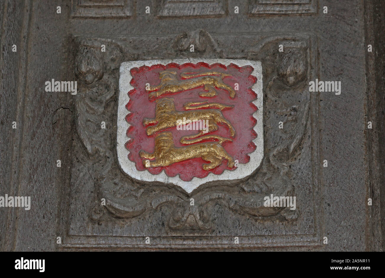 Wappen von Oriel College der Universität Oxford die Abzeichen oder Crest geschnitzt ist, oder auf das große Tor in der Bodleian Library in Catte Street geprägt Stockfoto