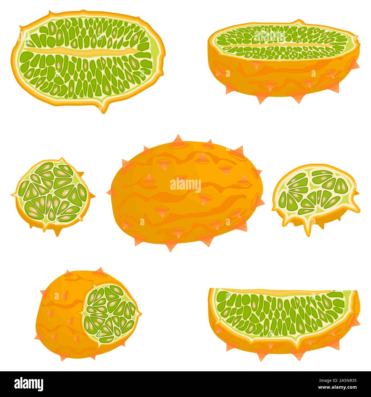 Abbildung auf Thema große verschiedene afrikanische kiwano, grüne Stengel, Melone verschiedener Größe. Kiwano Muster bestehend aus Sammlung Mahlzeit Melone für o Stock Vektor