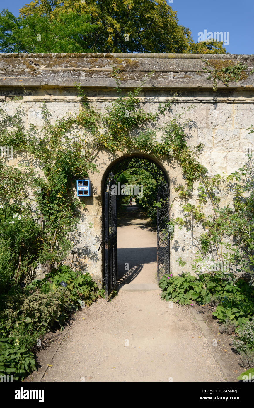 Eingangstor in den ummauerten Garten der Universität Oxford Botanic Garden oder den Botanischen Garten Oxford England Stockfoto