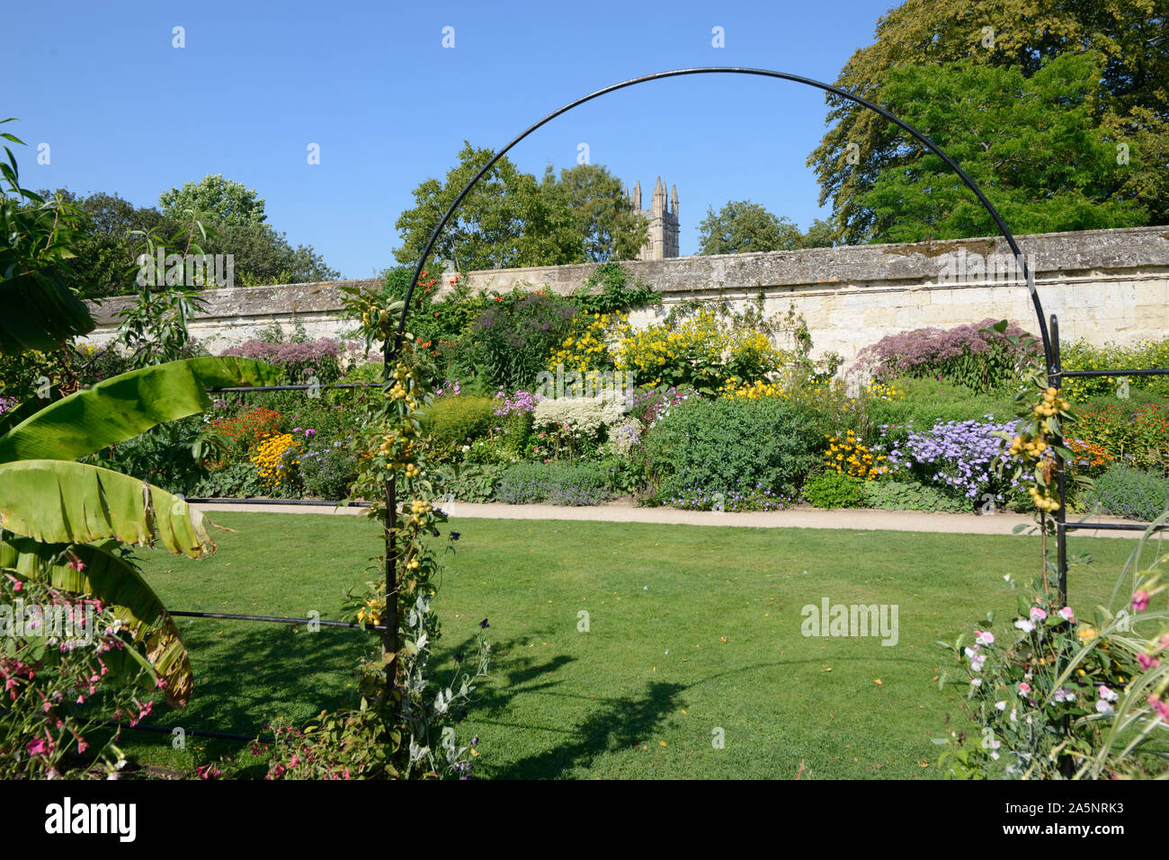 Gitter, Staudenbeet und ummauerten Garten der Universität Oxford Botanic Garden Oxford England Stockfoto