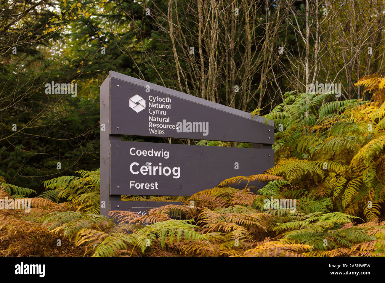 NRW oder die natürlichen Ressourcen Wales Zeichen in der ceiriog Wald Plantage im Norden von Wales. Die walisische Regierung Agentur verantwortlich für die Umwelt Stockfoto