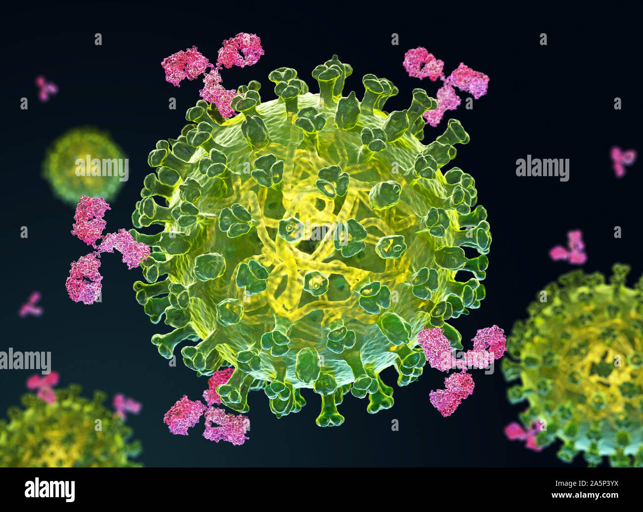 Grippe Virus und Antikörper. 3D-Darstellung Stockfoto