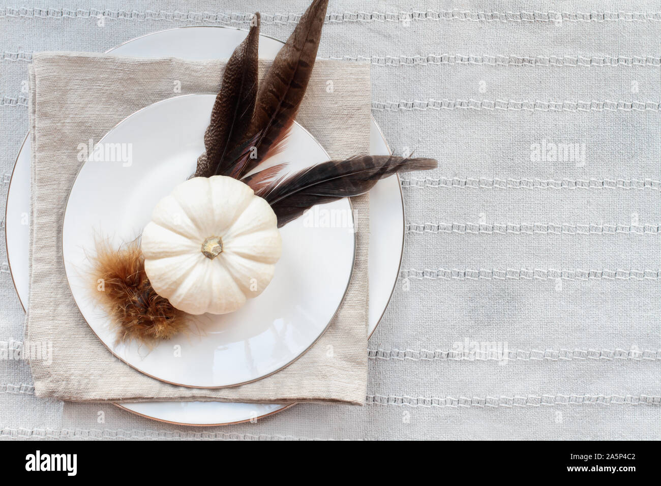 Thanksgiving Day Ort Ambiente mit weißen Platten, mini Weiß Kürbisse, Fasan Federn und Serviette über graue Tabelle Runner. Stockfoto
