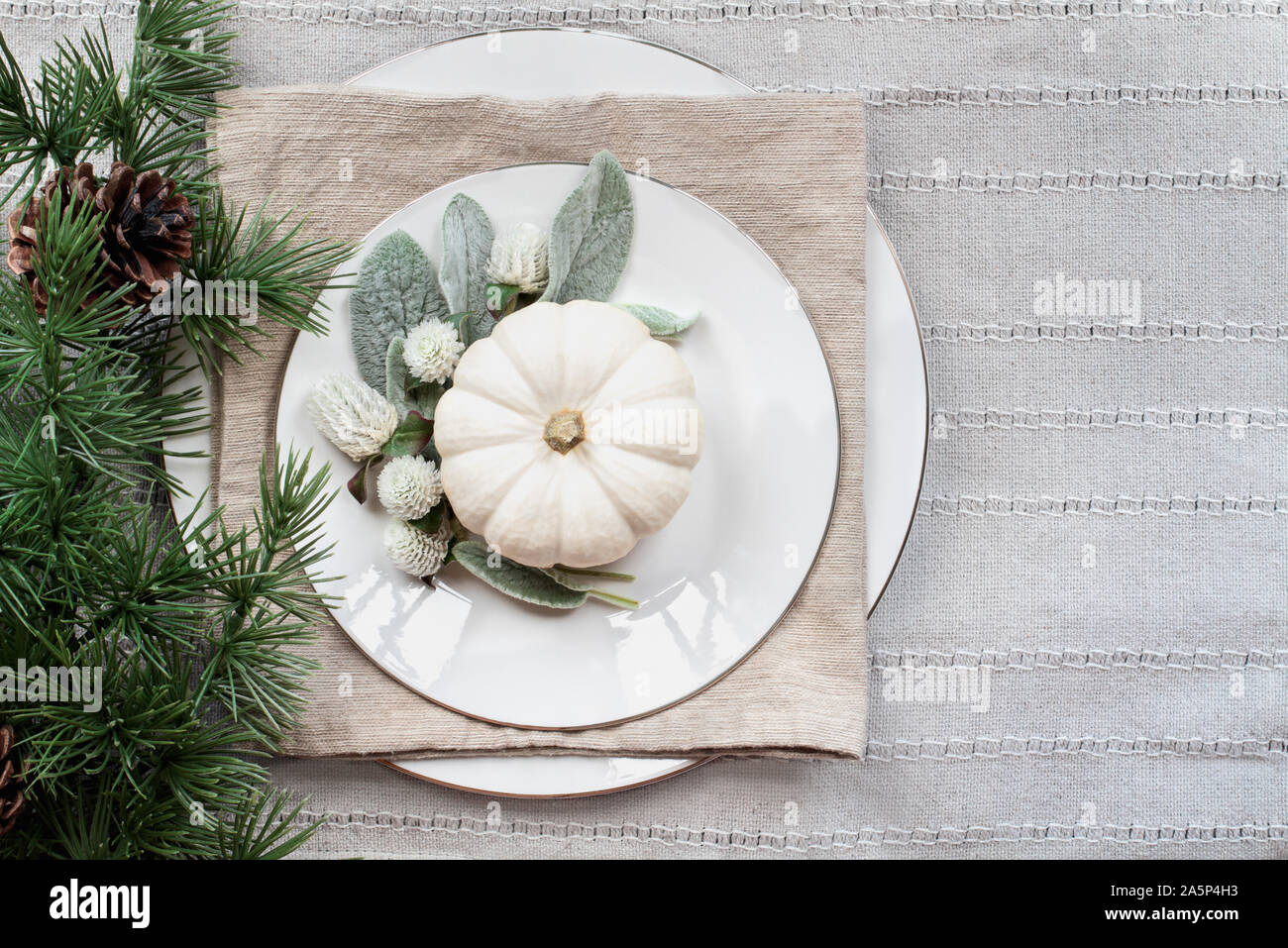 Thanksgiving Day oder Christmas Place Ambiente mit weißen Platten, mini Weiß Kürbisse, Lambs Ohren Blätter, Blumen und Kiefern Zweig über grau Tischläufer Stockfoto