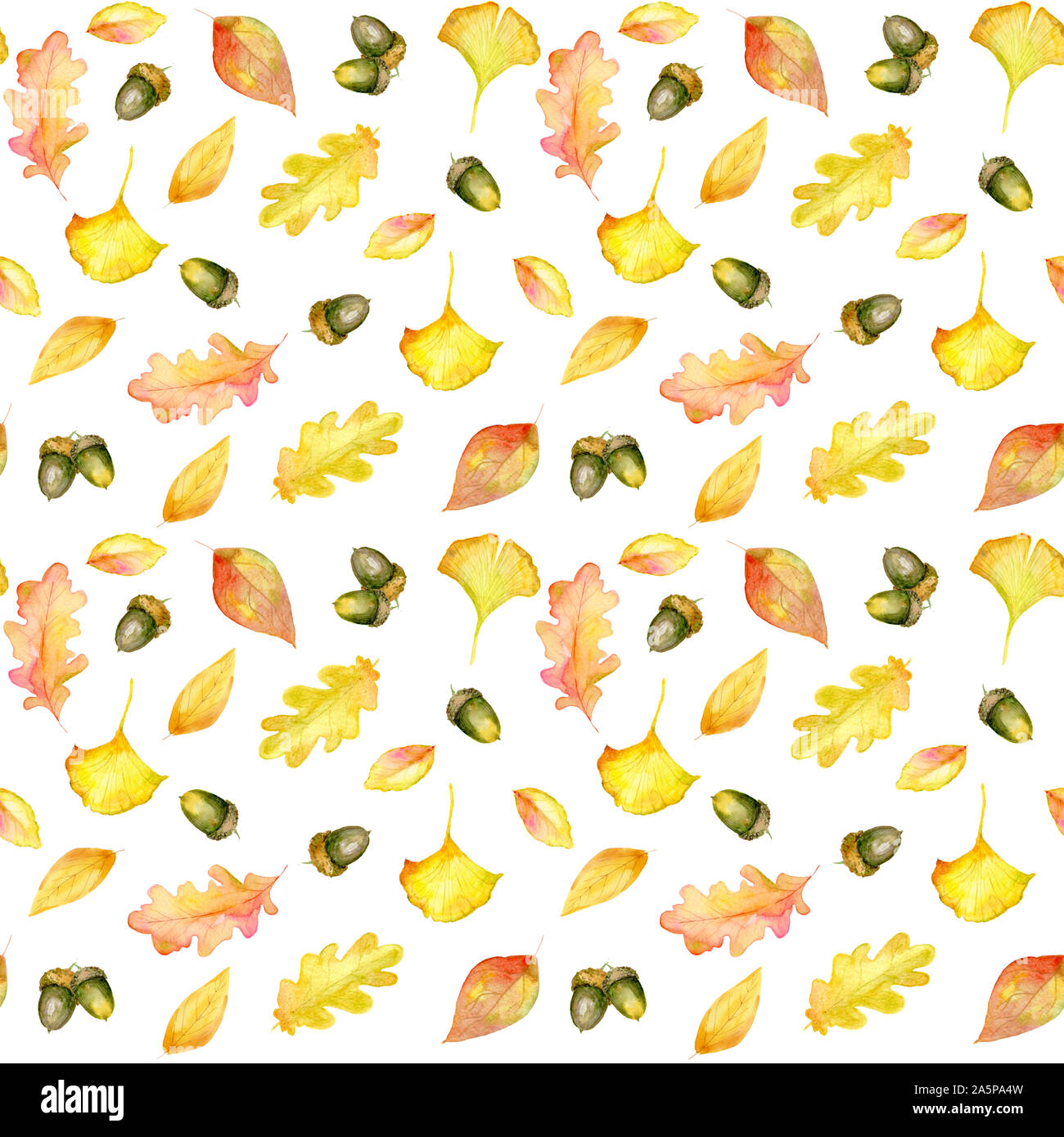 Nahtlose bunten Hintergrund aus Aquarell Eichenblätter, Ginkgobaum, Eicheln, Blätter. Elemente der herbstlichen Garten. Natürliche drucken für die Verpackung Stockfoto