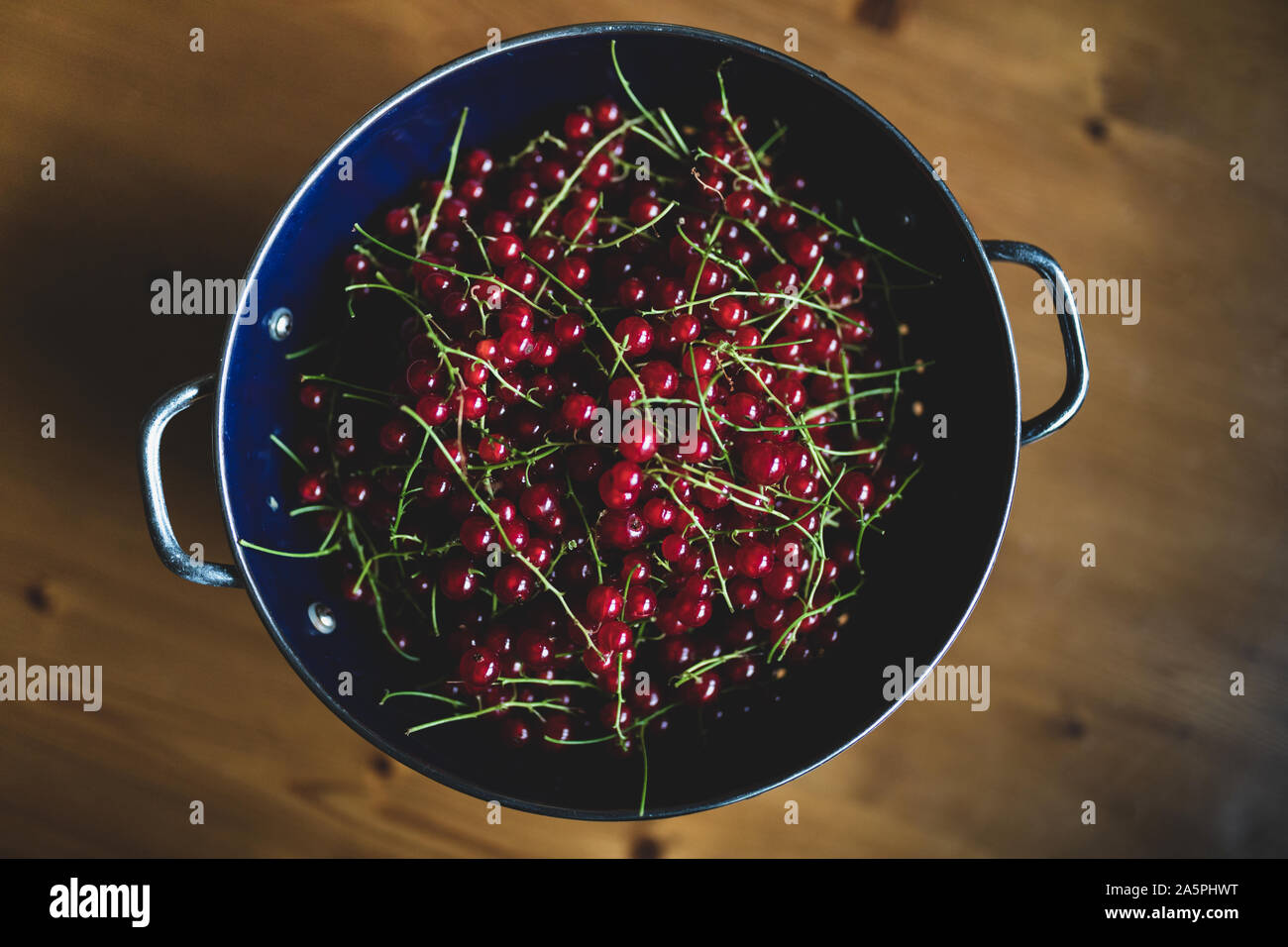 Rote Johannisbeeren in einem blauen Sieb auf einem Holztisch. Rote Johannisbeere Beeren reif. Nähe zu sehen. Stockfoto