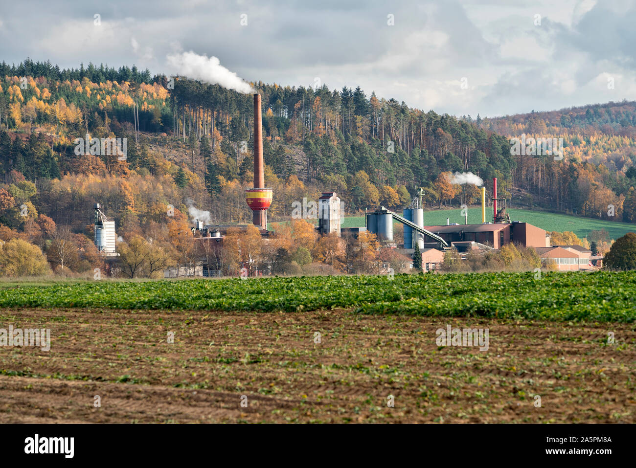 ProFagus, Produktion von Holzkohle, Bodenfelde, Landkreis Northeim,  Niedersachsen, Deutschland, Europa Stockfotografie - Alamy