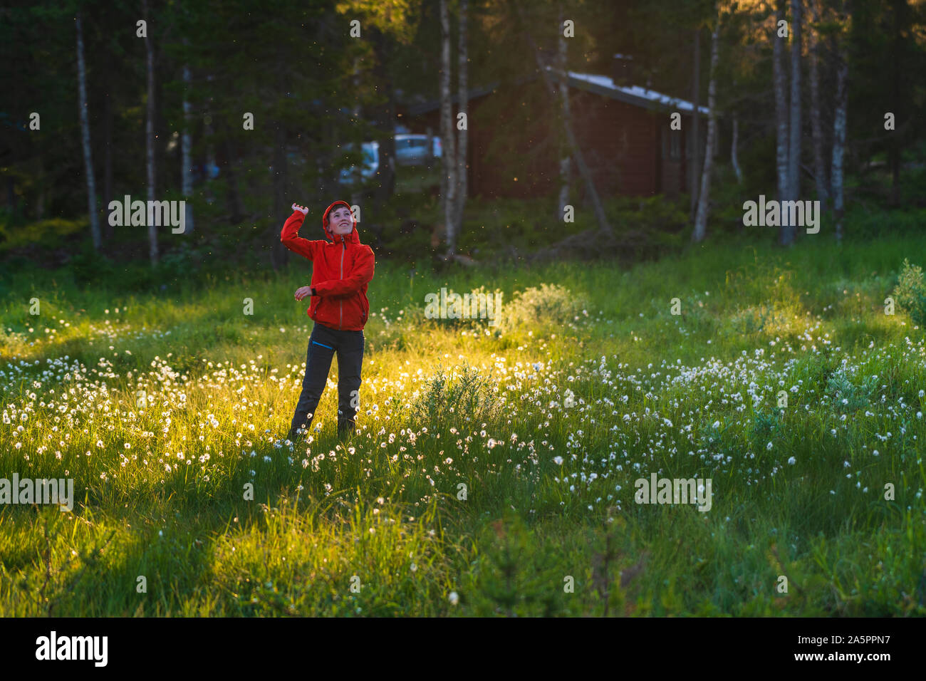 Junge in Wiese Stockfoto