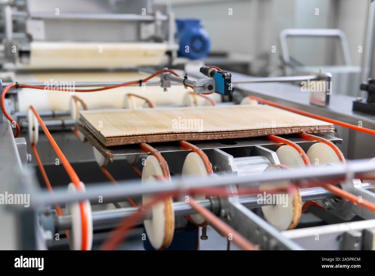 Fertige multi-layer Wafer bewegt sich auf dem Förderband einer Süßwarenfabrik Stockfoto