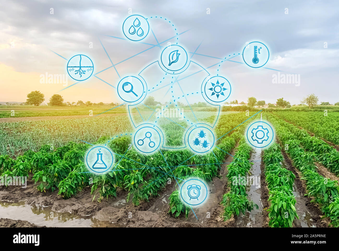 Die wissenschaftliche Arbeit und die Entwicklung der Landwirtschaft. Hohe Technologien und Innovationen in der Agroindustrie. Landwirtschaftliche startup. Automatisierung und Qualität des Ernteguts Stockfoto