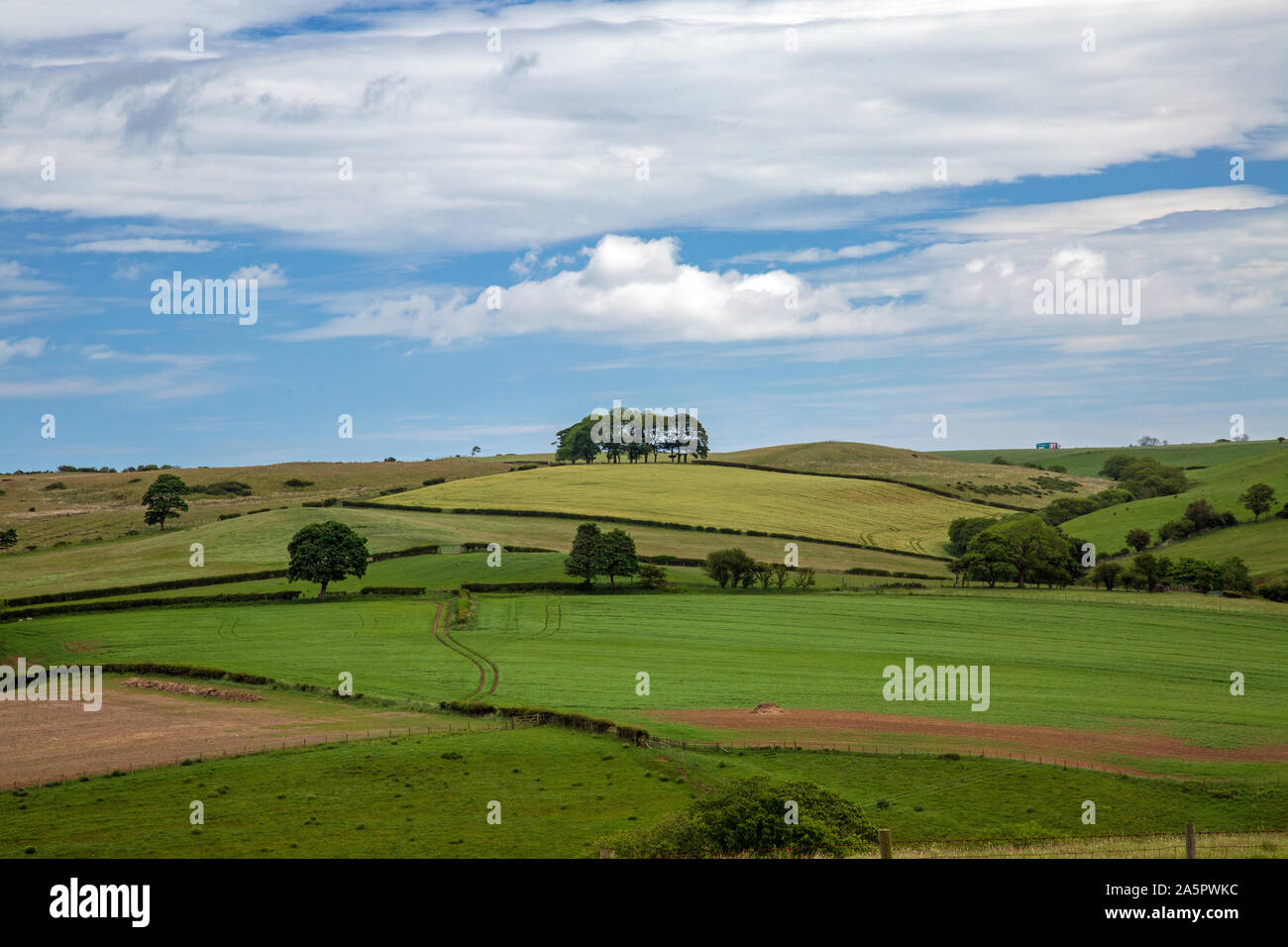Malerische North Yorkshire Moors Stockfoto