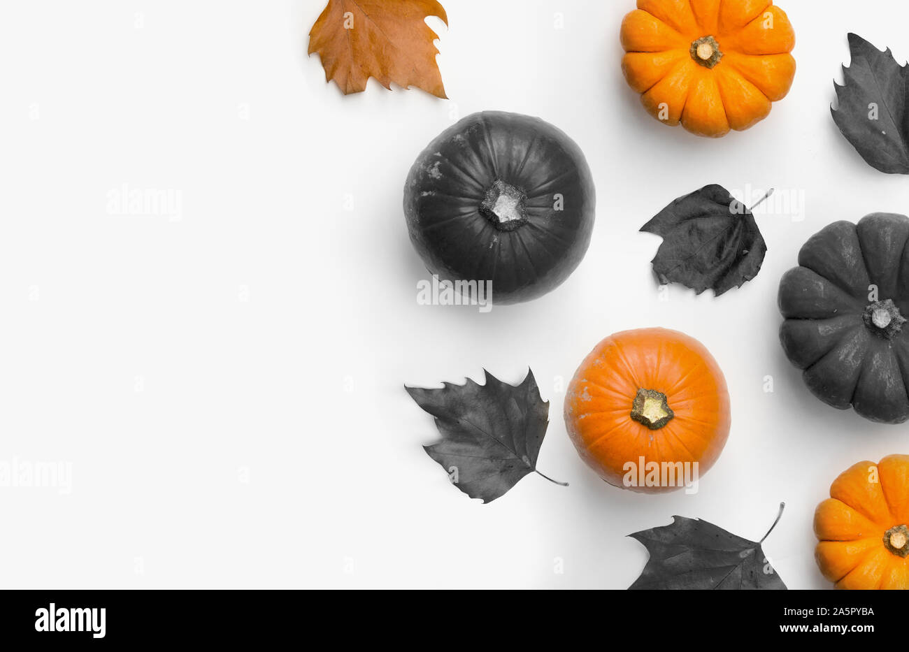 Ein Herbst Halloween Zusammensetzung flach mit Kürbissen und trockene Blätter im Herbst. Zimmer für Inhalt und Text. Stockfoto