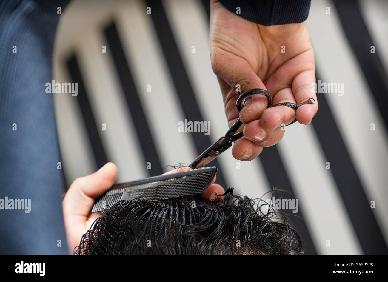 Nahaufnahme einer Friseur Schneiden nasser Haare der Mann mit der Schere. Blick nach hinten, hintere Ansicht des Haar-. Stockfoto