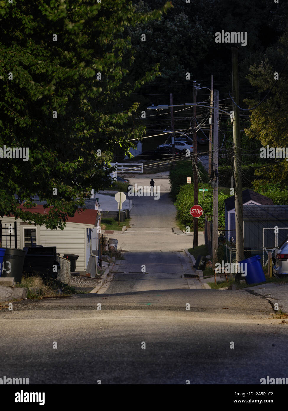 Einsame Frau Wandern Hund Nachts in der Stadt Stockfoto