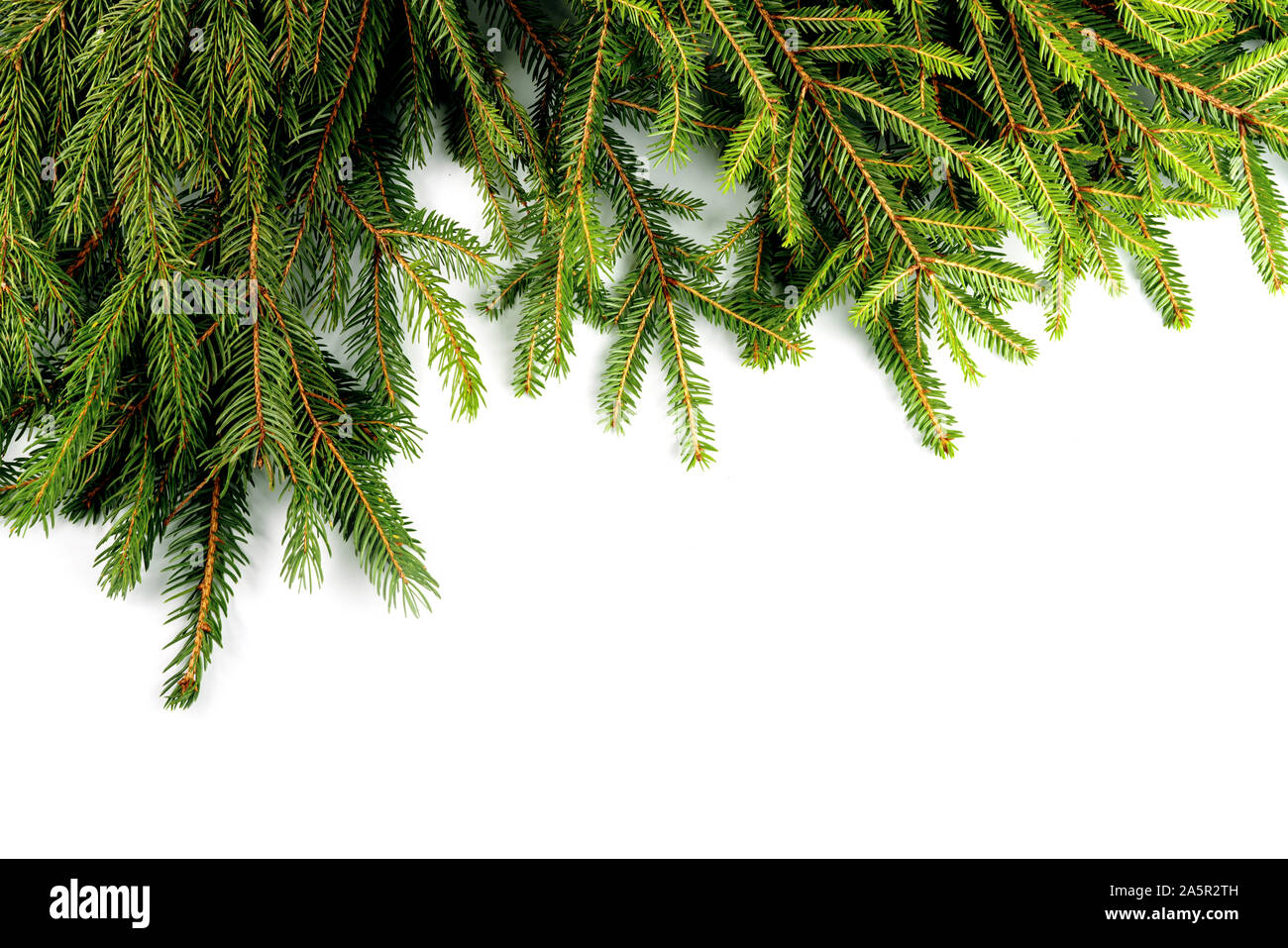 Weihnachten Rahmen gemacht mit Zweigen isoliert auf weißem Stockfoto