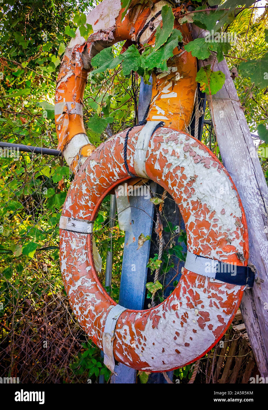 Abgenutzte Schwimmweste Ringe hängen von einem Zaun im Tin vergossen, Oktober 6, 2019, in Apalachicola, Florida. Stockfoto