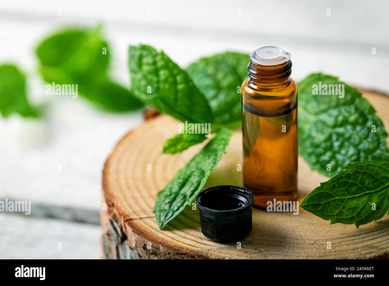 Kleine Glasflasche mit Minze ätherisches Öl auf Holz- Hintergrund Stockfoto