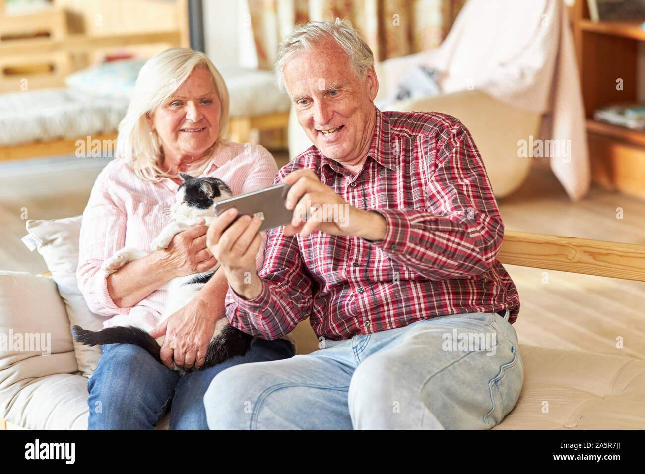 Paare der Senioren mit einem Smartphone macht selfie über sich selbst und eine Katze Stockfoto