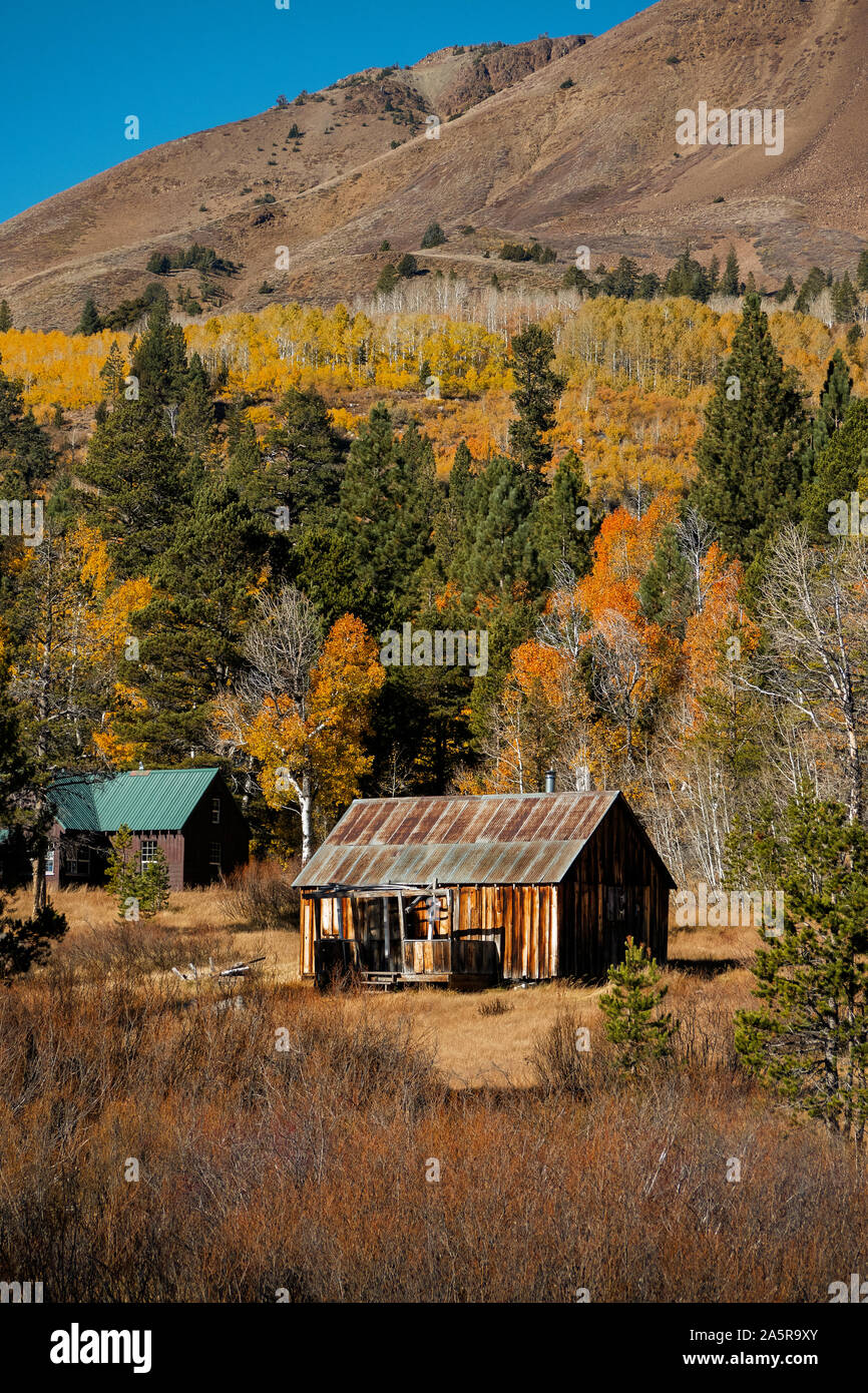 Pionier Cabin in der Sierra Nevada im Herbst. Kalifornien, USA Stockfoto